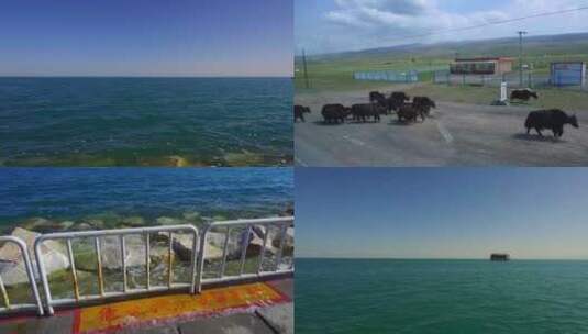 青海湖 旅游 湖边高清在线视频素材下载