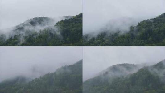 延时拍摄山林云雾高清在线视频素材下载