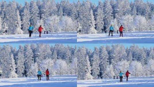 冬天户外滑雪高清在线视频素材下载