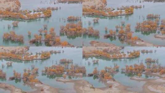 航拍秋天新疆葫芦岛风景高清在线视频素材下载