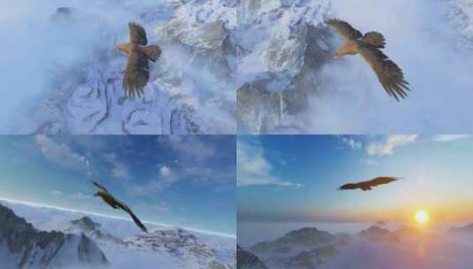 老鹰 飞过雪山 飞翔高清在线视频素材下载