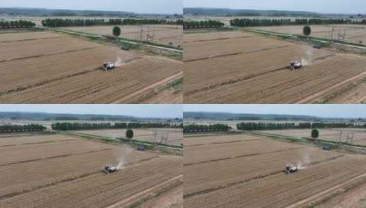 农村农民驾驶拖拉机收割小麦高清在线视频素材下载