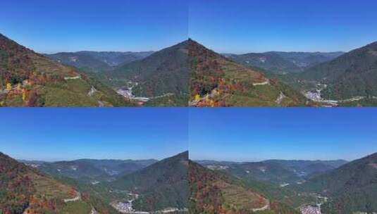 四明山 盘山公路 秋色 秋天 余姚高清在线视频素材下载