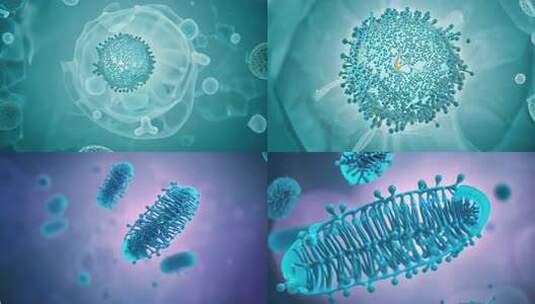 细菌分子结构分子微生物学高清在线视频素材下载