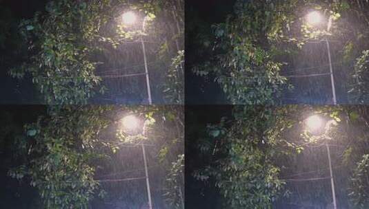 雨夜中的树叶遮挡的路灯特写高清在线视频素材下载