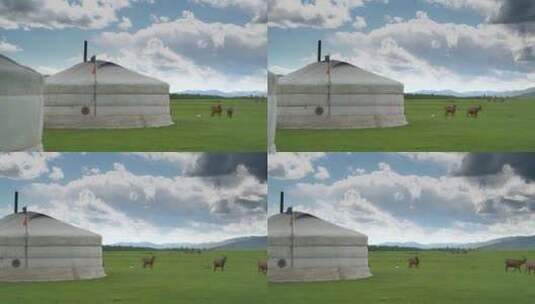 动物旁的蒙古帐篷高清在线视频素材下载