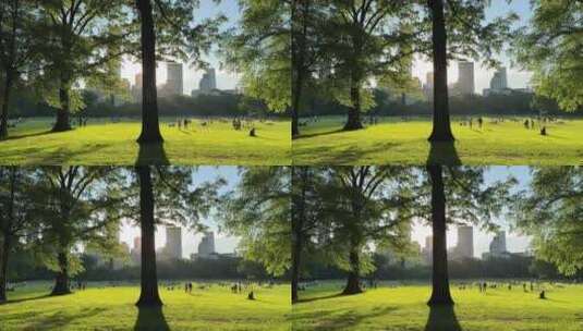 城市公园草坪上休闲的人们高清在线视频素材下载