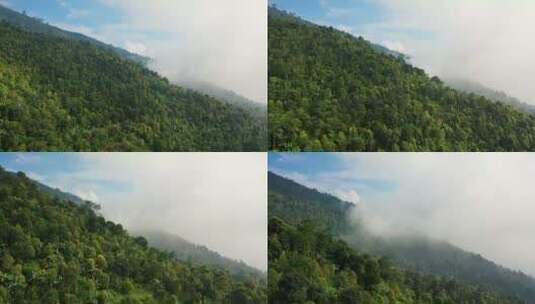 航拍山林中的薄雾高清在线视频素材下载