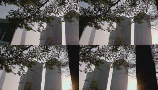 升格深圳平安大厦附近的落日光影和行道树高清在线视频素材下载