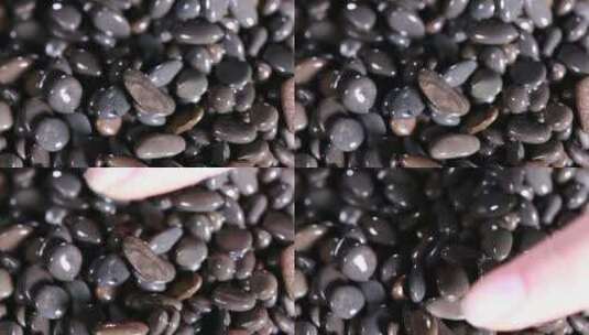 黑色石子石头籽高清在线视频素材下载