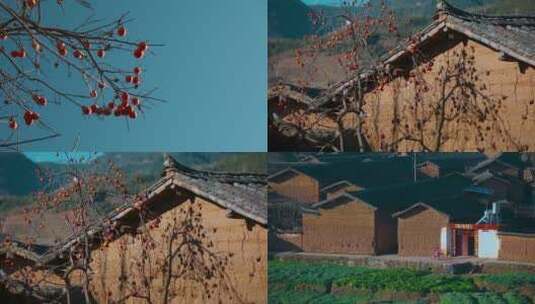 山区农村视频中国云南冬季柿子树土房村庄高清在线视频素材下载