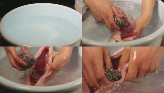 清洗鱼肉处理鱼肉高清在线视频素材下载