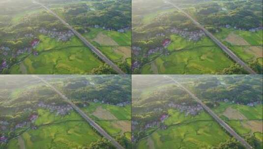 航拍乡村稻田自然风光高速公路4k视频高清在线视频素材下载