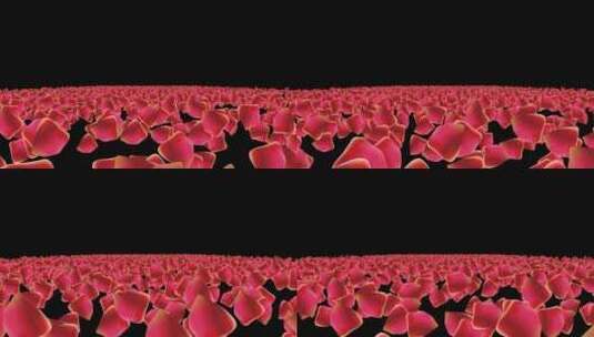 玫瑰花瓣粒子海冲屏幕视频高清在线视频素材下载