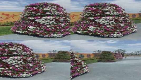 济南赛石花园大会，夏季植物盛开高清在线视频素材下载