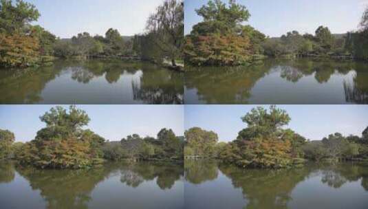 杭州西湖十景之一花港观鱼高清在线视频素材下载