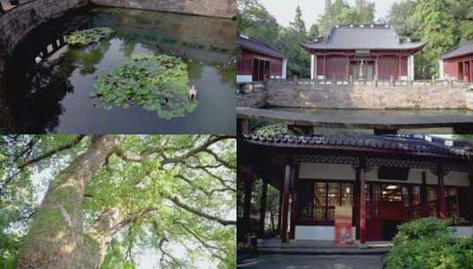 杭州西湖岳王岳飞庙建筑4K视频素材高清在线视频素材下载
