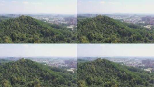 航拍深圳龙华区观澜立体生态绿化高清在线视频素材下载