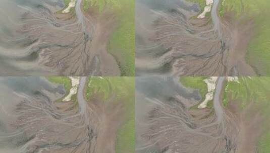 航拍鄱阳湖自然的画笔下的生命之树高清在线视频素材下载