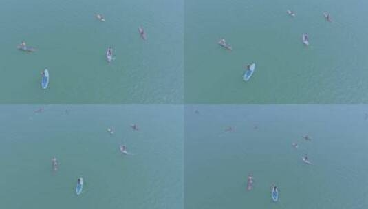 水上桨板救援队在清江(1)高清在线视频素材下载