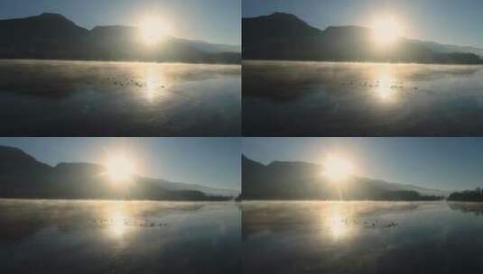 日出时雾气腾腾的湖面上有一群野鸭高清在线视频素材下载