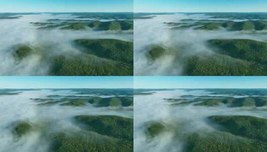 内蒙古大兴安岭森林云雾高清在线视频素材下载