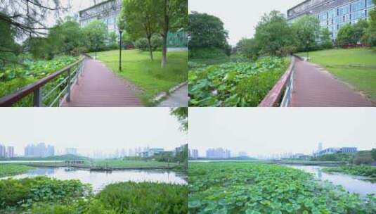 武汉汉阳月湖风景区风光4K实拍合集高清在线视频素材下载