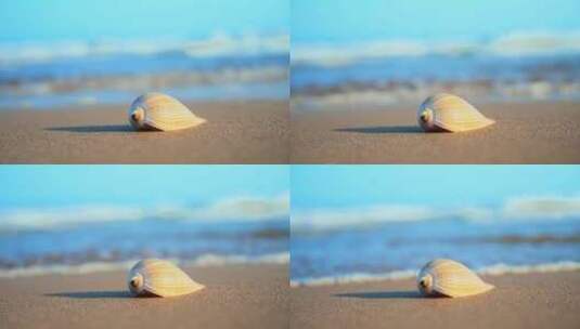 海边沙滩海滩贝壳高清在线视频素材下载
