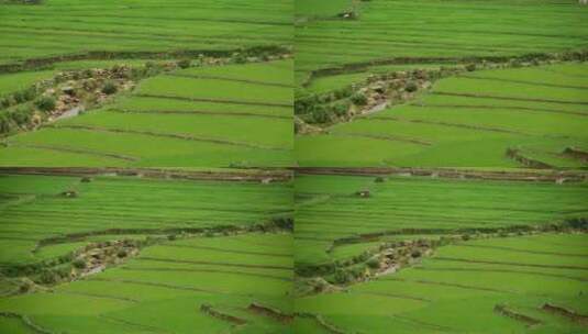 风景优美的水稻梯田-北山萨帕越南3高清在线视频素材下载
