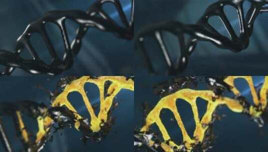 实验室 化学 DNA 科学 生物技术高清在线视频素材下载