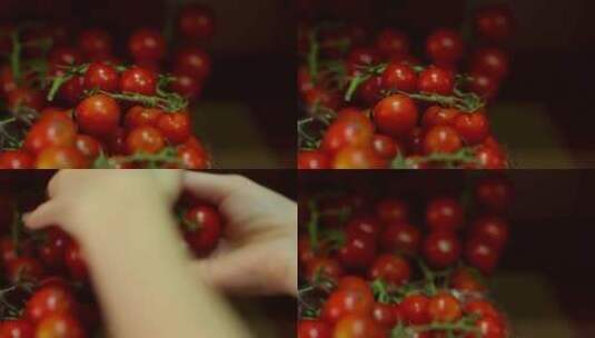 拿红红的小西红柿高清在线视频素材下载