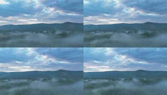航拍黄昏下的云雾森林高清在线视频素材下载