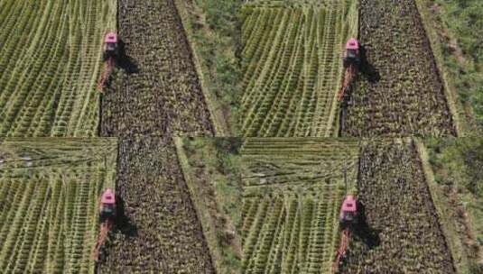 航拍黑龙江北大荒拖拉机在水稻田秋翻地高清在线视频素材下载