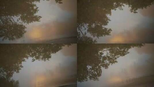 水中树木的倒影空镜高清在线视频素材下载