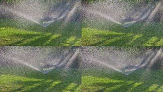 草地清晨阳光灌溉高清在线视频素材下载