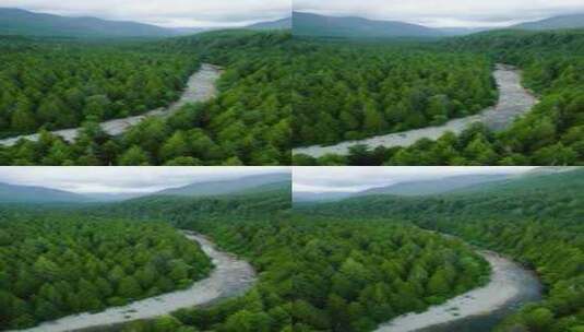 森林 树木 山脉 树林 河流高清在线视频素材下载