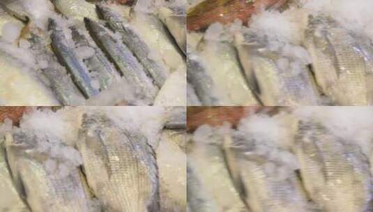 海鲜食材海产品渔获5高清在线视频素材下载