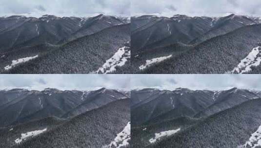 4K航拍西藏林芝鲁朗风景区11高清在线视频素材下载