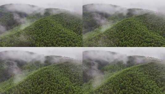 航拍森林自然风景云雾高清在线视频素材下载