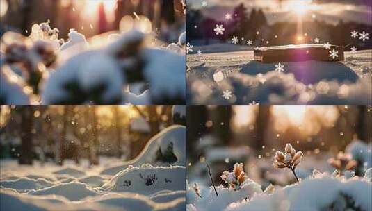 冬天冬季雪景冰晶雪花特写大雪下雪天冬至冰高清在线视频素材下载