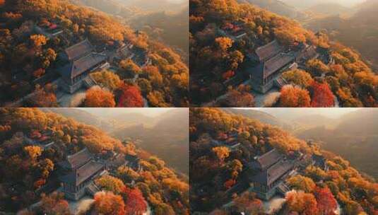 秋天山顶景区风景航拍高清在线视频素材下载