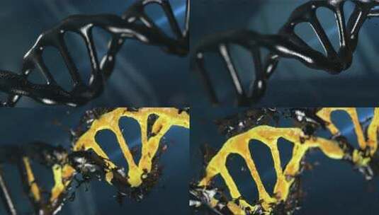 生物技术DNA染色体螺旋体高清在线视频素材下载