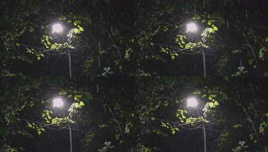 雨夜中的树叶遮挡的路灯特写高清在线视频素材下载