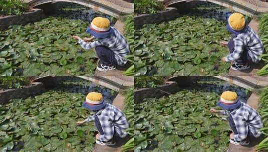小孩池塘边持竿钓龙虾高清在线视频素材下载