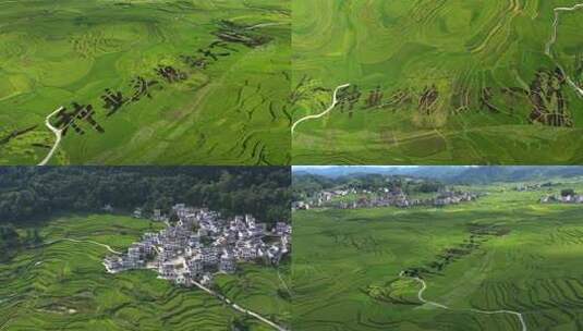 俯瞰彩色稻田艺术图案高清在线视频素材下载