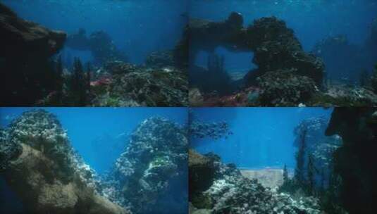 海底世界高清在线视频素材下载