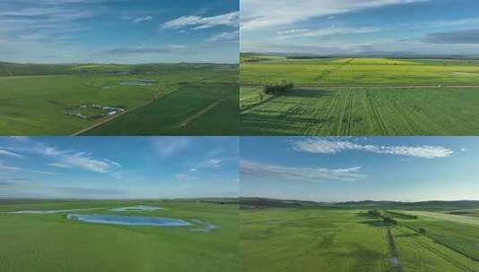 呼伦贝尔田园风光自然景观高清在线视频素材下载