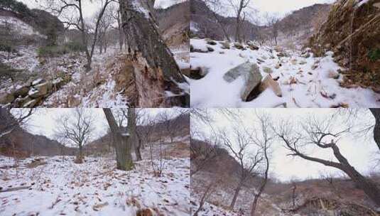 山间雪景雪地银装素裹高清在线视频素材下载