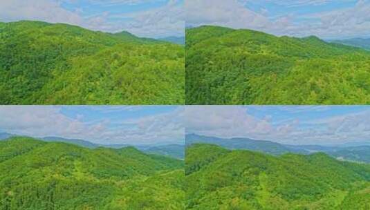航拍高山绿树自然风景高清在线视频素材下载