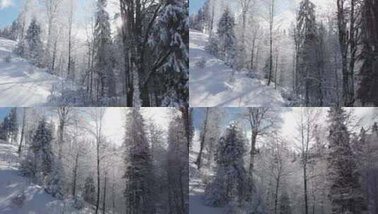雪后的山和树蓝色多云的天空高清在线视频素材下载